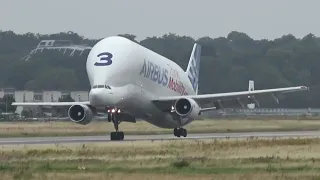 (4K) Crosswind landing Airbus Beluga at Hamburg Finkenwerder Airport