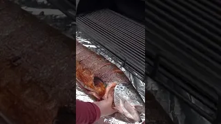 Smoked giant SALMON - Cooking fish in a Smoker | GEORGY KAVKAZ