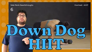 Down Dog HIIT Is Yet Another Amazing App By Down Dog!! (Down Dog HIIT Review)