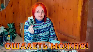 ОШАЛЕТЬ МОЖНО! У КОГО ТЫ НЕ ВЫХОДИШЬ ИЗ ГОЛОВЫ?