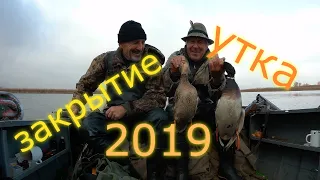 ОХОТА на УТКУ.  ЗАКРЫТИЕ  СЕЗОНА ОХОТЫ НА УТКУ  2019г. Duck hunt.