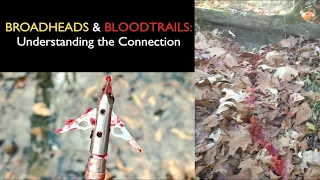 BROADHEADS & BLOOD TRAILS--Understanding the Connection