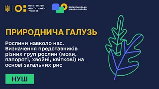 Природнича галузь. Рослини навколо нас. Визначення представників різних груп рослин