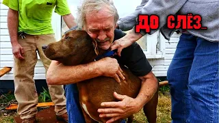 Дедушка принёс свою собаку на усыпление, причина заставила растрогала до слез даже ветеринара...