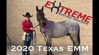 Extreme Mustang Makeover 2020 - Fort Worth, Texas
