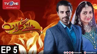 Jaltay Gulab | Episode 5 | TV One Classics | 14th November 2017