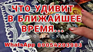 ❗ВОТ ЭТО ДА❗ЧТО УДИВИТ МЕНЯ В БЛИЖАЙШЕМ БУДУЩЕМ❓..Ваше будущее...🌗🌟Таро прогноз