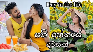 Day in the life / sunflower field in korea 🌻/ meal prep 🥪/