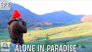 No experience like it | Fly fishing in the mountains | massive backcountry trout