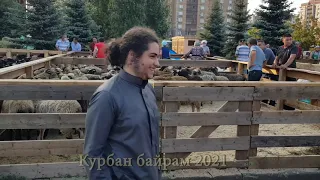 Казань Мечеть Казан нуры Курбан байрам 2021 Барашки 2