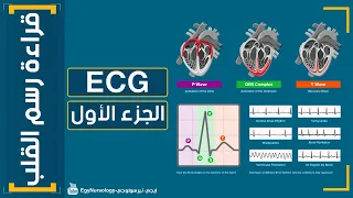 شرح قراءة رسم القلب | (ECG) الجزء الأول  - EgyNursology