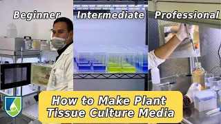 How To Make Plant Tissue Culture Media: The Ultimate Guide (Beginner, Intermediate, and Pro)