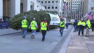 Rockefeller Center Christmas Tree Arrives at the Plaza