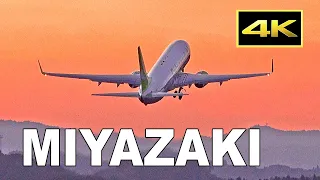 [4K] Beautiful Sunset Plane Spotting at Miyazaki Airport [KMI/RJFM] in Japan / 宮崎空港