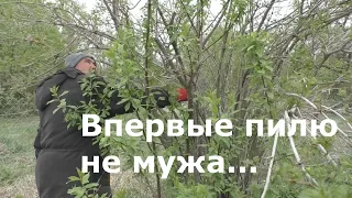 Обратно в деревню. У мужа появилась минутка для сада.