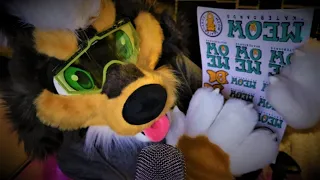 [Furry ASMR] Fall asleep with me (Mic pulling, Personal attention, tapping, wet mouth sounds)