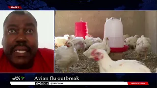 Avian flu I Fears of a shortage of supply of chicken and eggs
