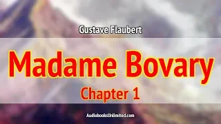 Madame Bovary Audiobook Chapter 1 with subtitles