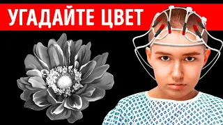 Этот тест поможет узнать, хорошая ли у вас интуиция