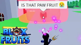 Everyone Forgot About This Fruit...