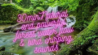 Natural water flow & bird chirping sounds#Naturesounds#Waterflow#Birdchirping#30minrelaxingmusic