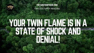 Your Twin Flame deliberately pushes you away! This is Why! - Tarot Reading