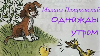 «Однажды утром» Пляцковский. Аудиосказка. Солнышко на память