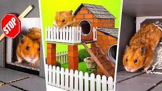 Cool DIY Hamster Crafts || Don't Let Your Pet Get Bored!