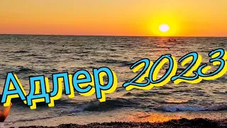 Адлер 2023 🌊 Парк Южные культуры 🏝 Адлер сегодня #sochi