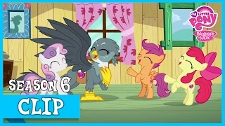 Gabby The Griffon Crusader (The Fault In Our Cutie Marks) | MLP: FiM [HD]