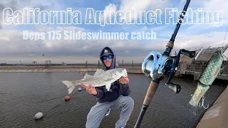 CA Aqueduct Fishing | Striped Bass Catch Deps 175 Slideswimmer
