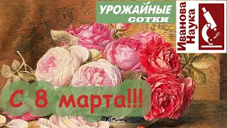 Дорогие женщины! Поздравляю вас с 8 Марта!