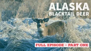 Alaska Blacktail Deer 1