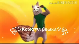 Коты Воители Клип ^Витаминка^