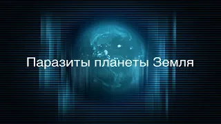 Паразиты планеты Земля