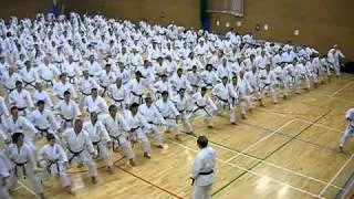 Kanazawa Oi Zuki Basics