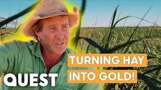 Farmers Harvest Hay In The Outback To Make A Massive Profit | Outback Farm