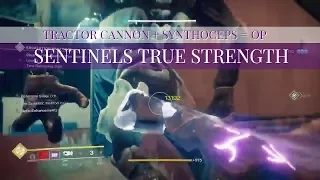 Synthocep Sentinel - True Strength in Punching