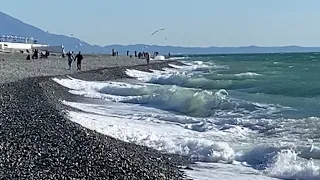 30.12.2022. Погода в Сочи в декабре. Смотри на Чёрное море каждый день.