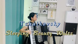 Tchaikovsky — Sleeping Beauty Waltz