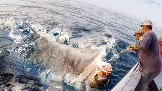 Unbelievable Fishermen Longline Fishing Tuna And  Shark Catch Thousands of Monster Fish The Big boat