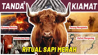 Ritual Sapi Merah Pembangkit Dajjal! Tanda Kiamat yg Mulai Terjadi di Timur Tengah! Eufrat Mengering