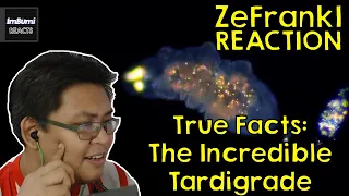 True Facts: The Incredible Tardigrade | zefrank1 | ImBumi Reaction