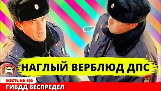 Сотрудник ДПС ГИБДД с верблюжьим геном отгреб от дальнобойщика