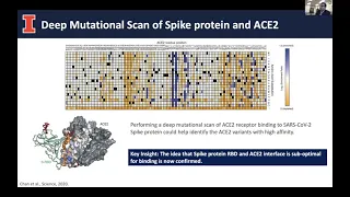 AI Enabled Deep Mutational Scanning of Interaction between SARS-CoV-2 Spike Protein S and Human ACE2