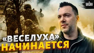 На болотах страх и паника: для контрнаступления ВСУ все готово - Арестович