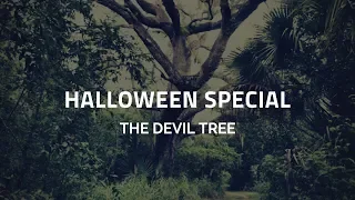 Halloween Special - The Devil Tree