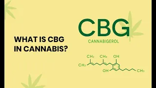 What is CBG?