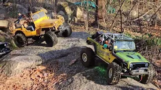 Enjoy RC CAR hiking on the weekends 4 - Team Scale Trail GoldMoon 2024.1.7