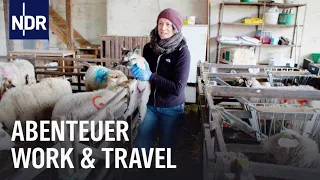 Abenteuer Work & Travel | die nordstory | NDR Doku